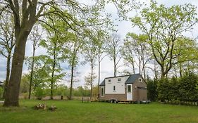 Tiny House
